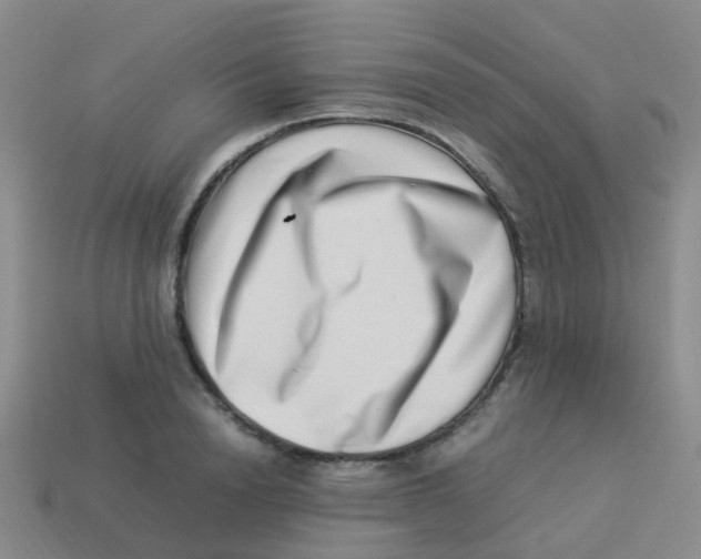 X0000113540846200910161410
