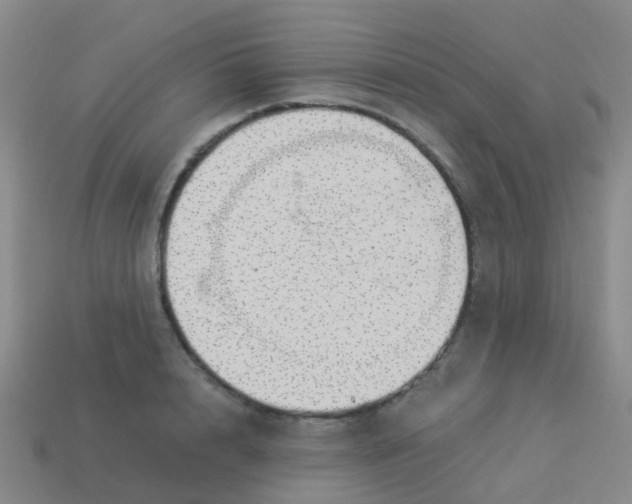 X0000113540848200910161410