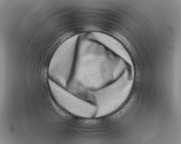 X0000113540849200910161410