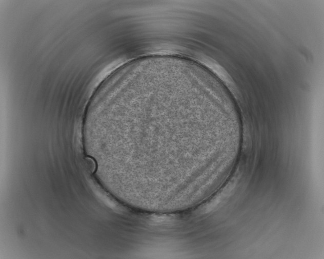 X0000113540850200910161410
