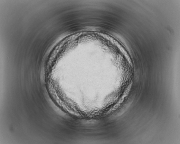 X0000113540851200910161410