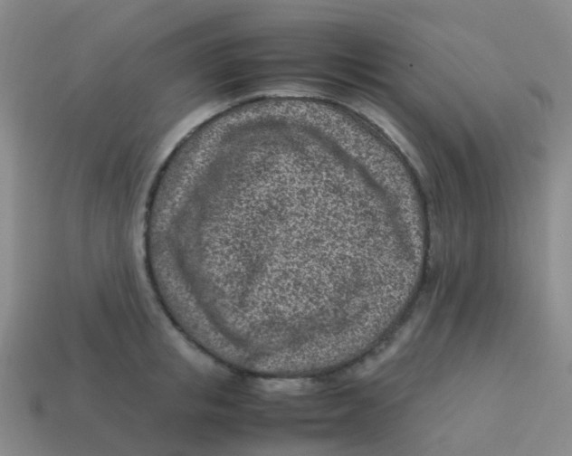 X0000113540853200910161410