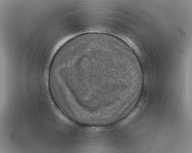 X0000113540854200910161411