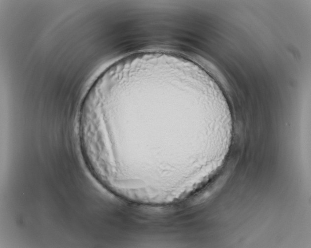 X0000113540855200910161411