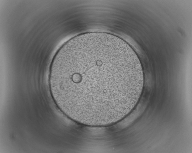 X0000113540856200910161411
