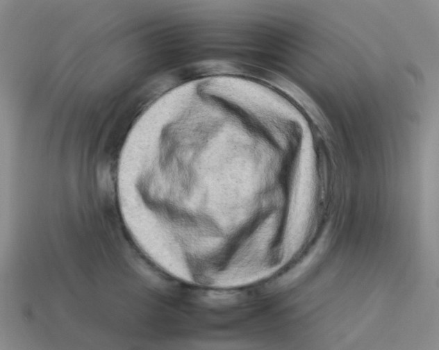 X0000113540857200910161411