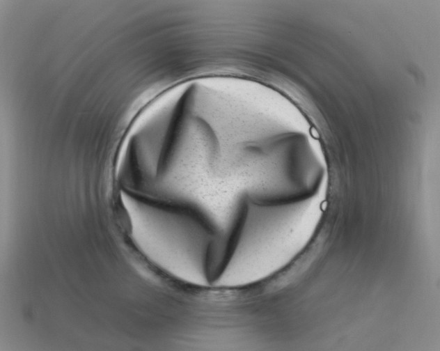 X0000113540858200910161411