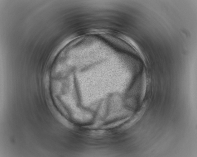 X0000113540859200910161411