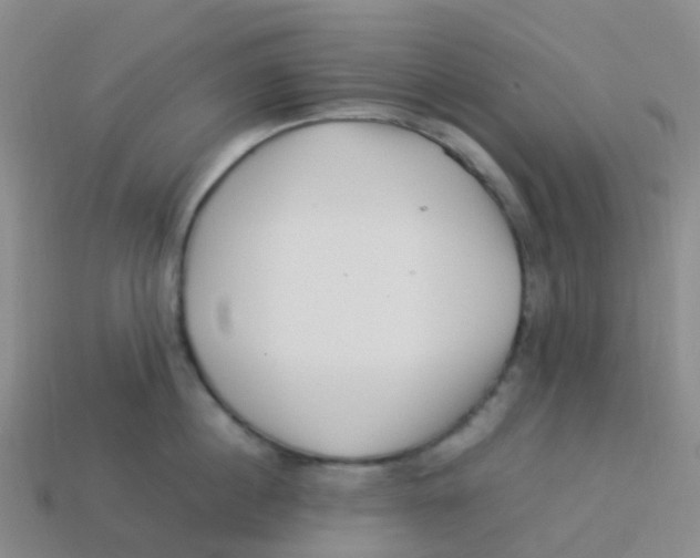 X0000113540860200910161411