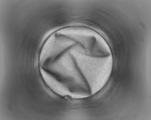 X0000113540862200910161411