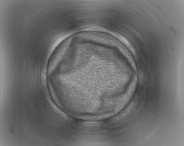X0000113540863200910161411