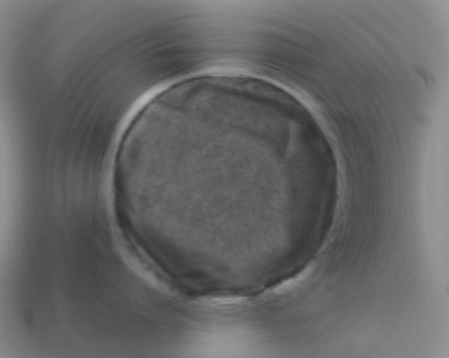 X0000113540864200910161411