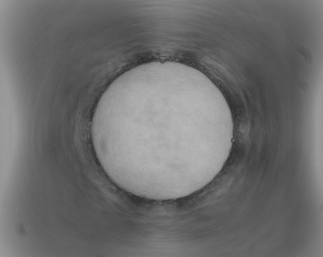X0000113540865200910161410