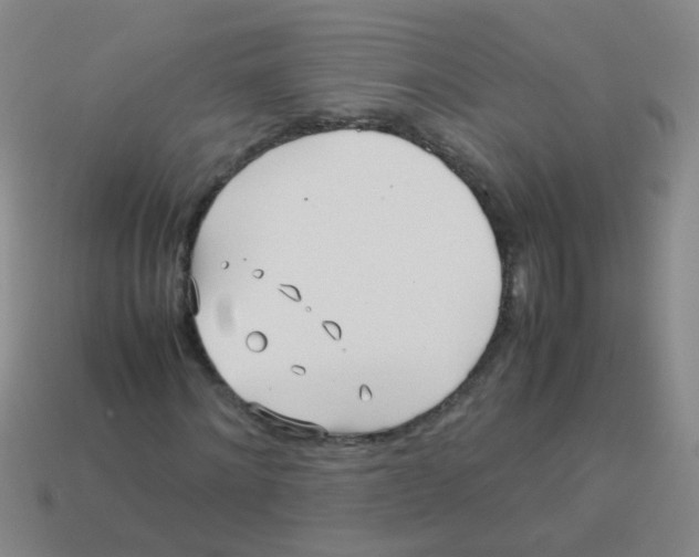 X0000113540868200910161410