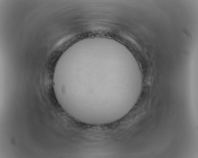 X0000113540869200910161410