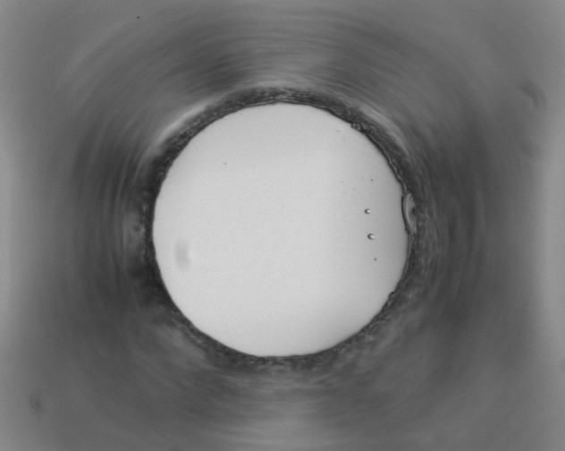 X0000113540872200910161410