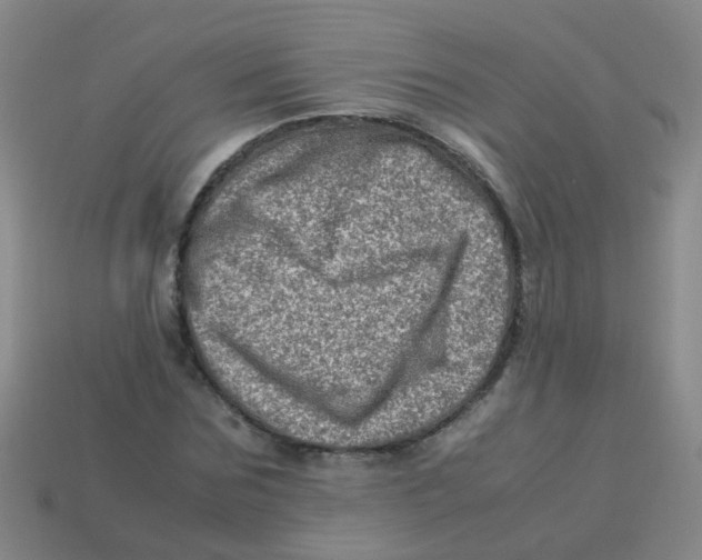 X0000113540875200910161410