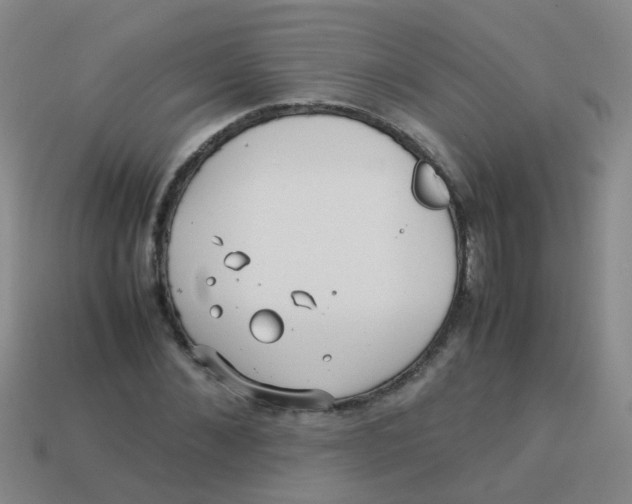 X0000113540876200910161410