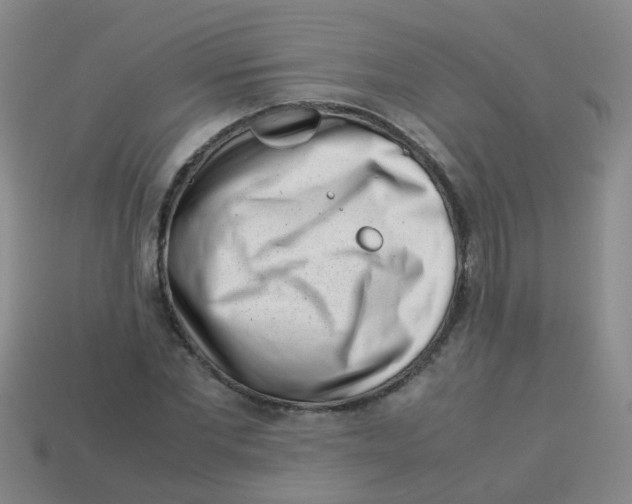 X0000113540877200910161410