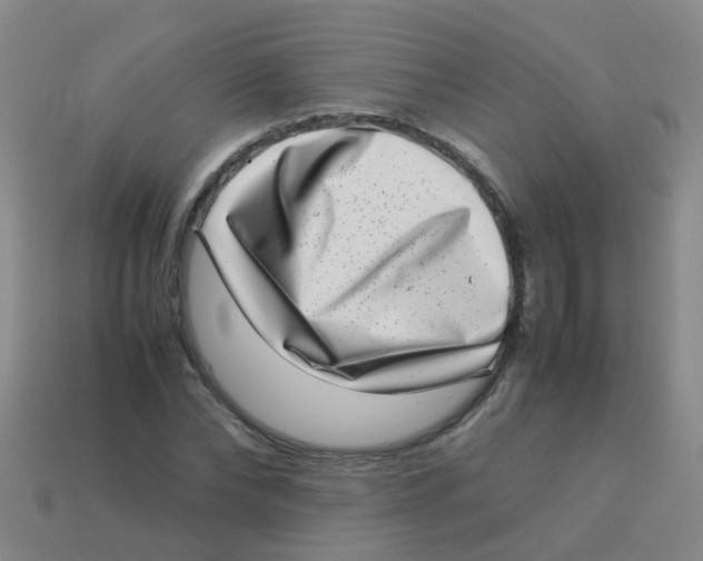 X0000113540878200910161410