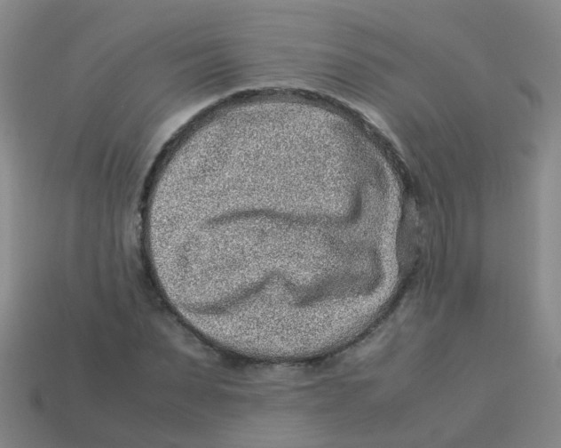 X0000113540879200910161410