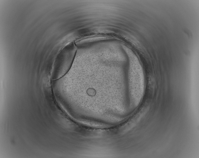 X0000113540881200910161410
