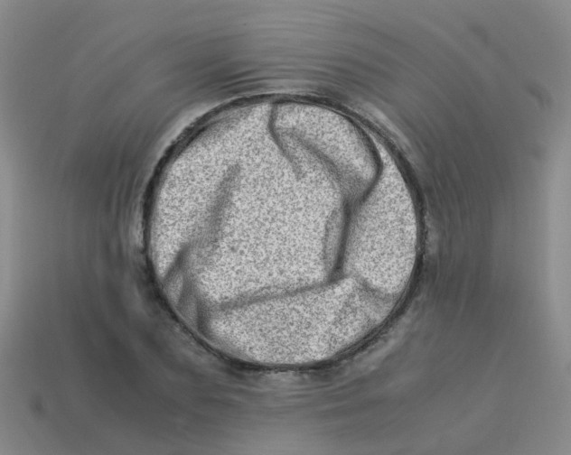 X0000113540883200910161410