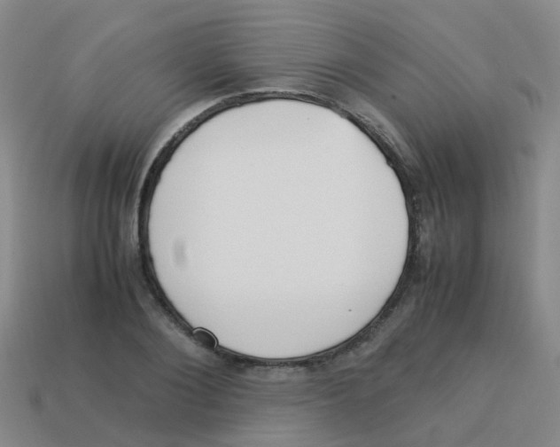 X0000113540884200910161410