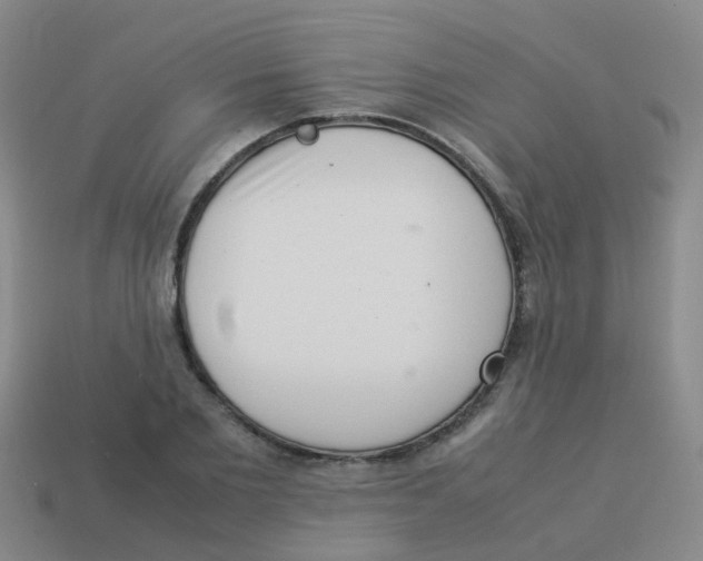 X0000113540885200910161410