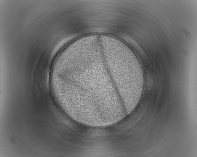 X0000113540886200910161410