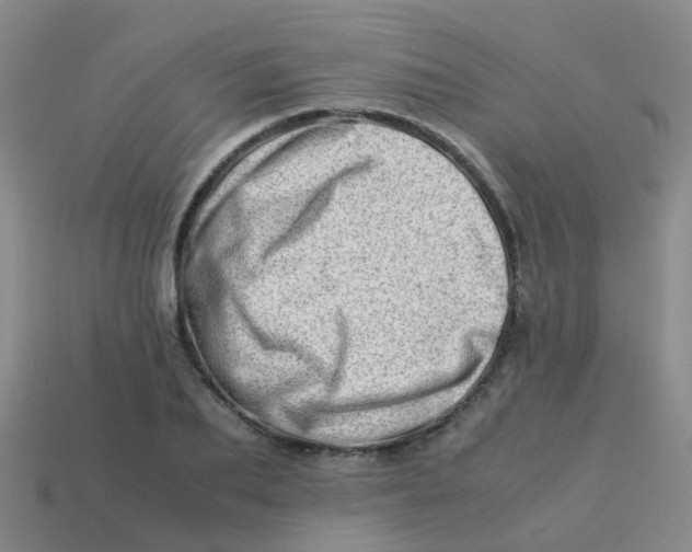 X0000113540887200910161410