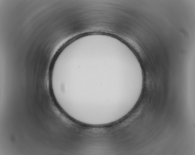 X0000113540888200910161410