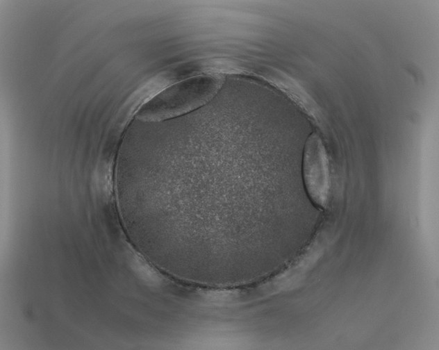 X0000113540889200910161410