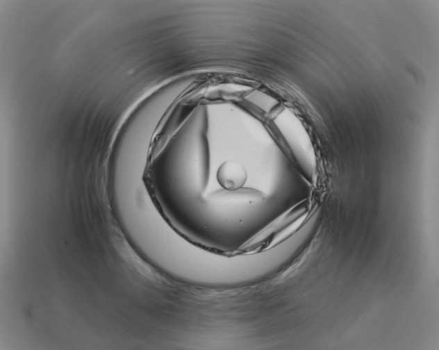 X0000113540892200910161410