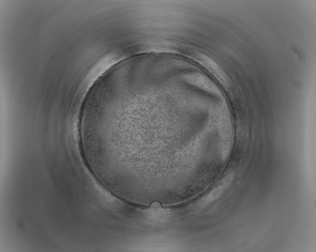 X0000113540893200910161410