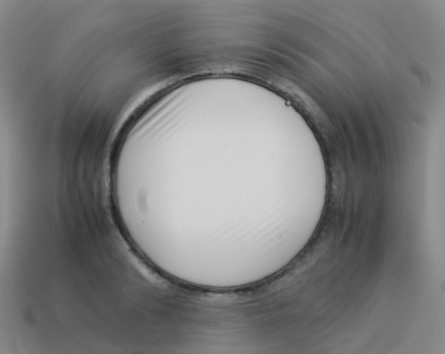 X0000113540894200910161410