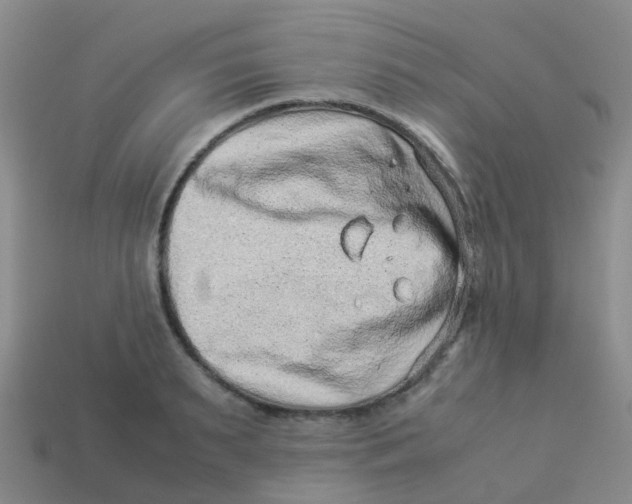 X0000113540895200910161410