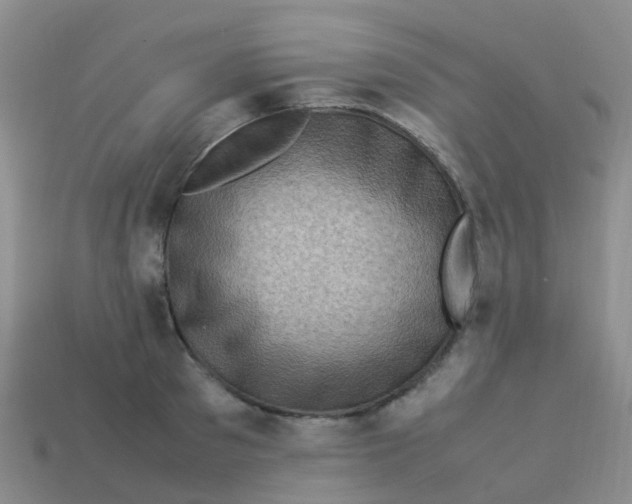 X0000113540897200910161410