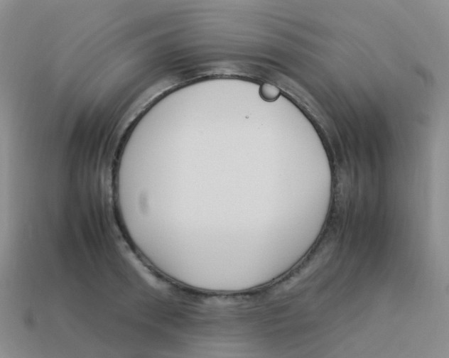 X0000113540898200910161409