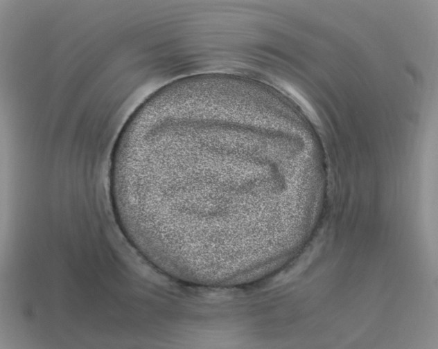 X0000113540899200910161409