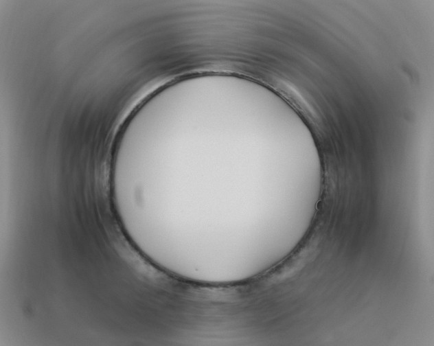 X0000113540900200910161409