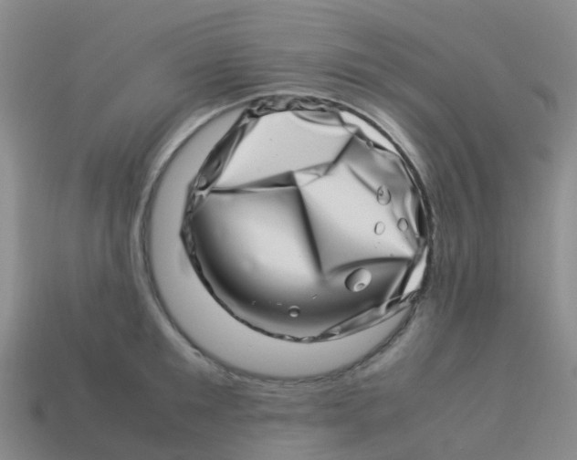 X0000113540901200910161409