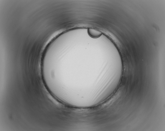 X0000113540902200910161409