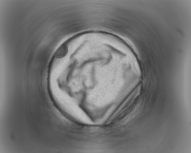X0000113540903200910161409