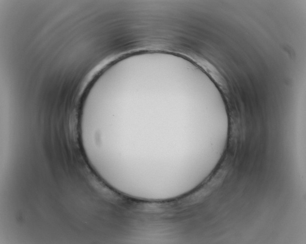 X0000113540904200910161409