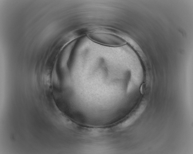 X0000113540905200910161409