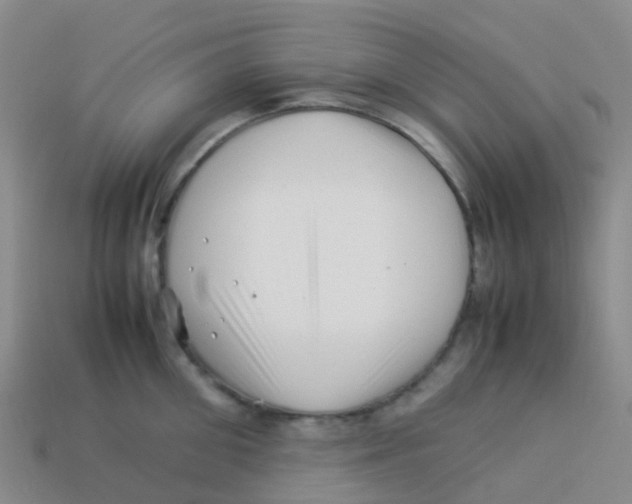 X0000113540906200910161409