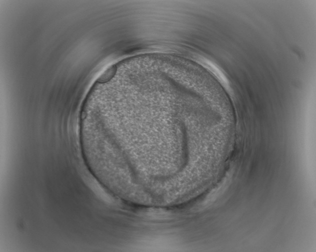 X0000113540907200910161409