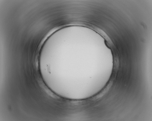 X0000113540908200910161409