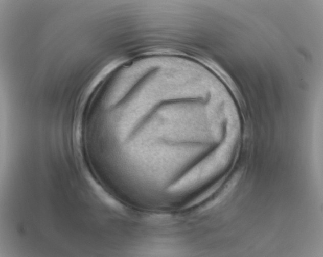X0000113540909200910161409